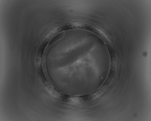 X0000091710417200708241252