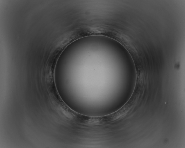 X0000091710418200708241252