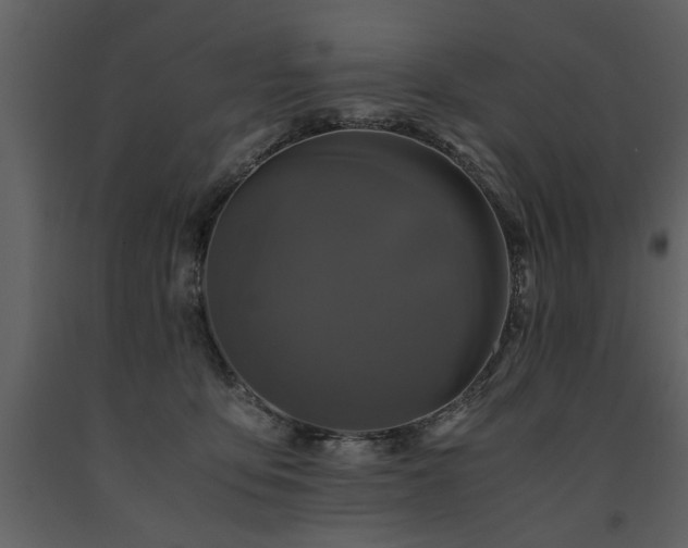 X0000091710419200708241252