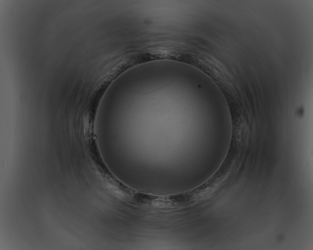 X0000091710420200708241252