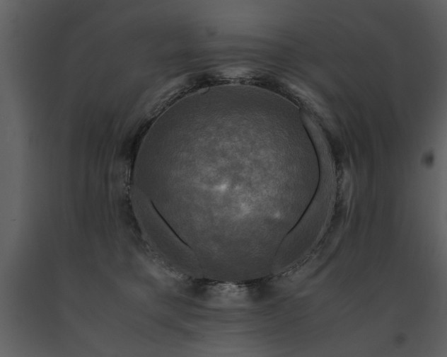 X0000091710421200708241252