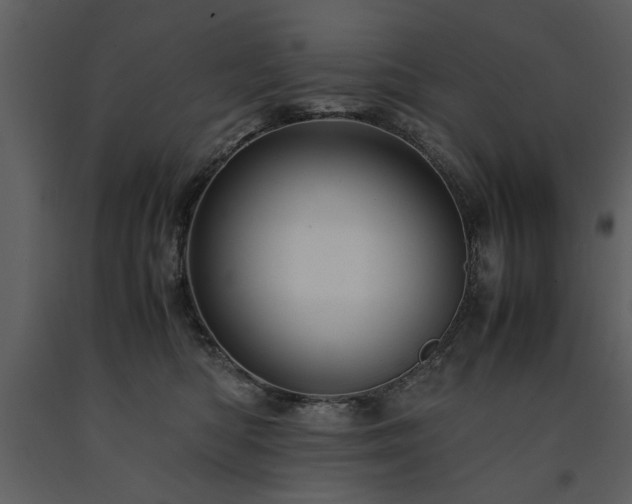 X0000091710422200708241252