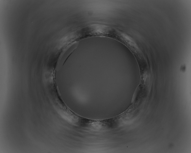 X0000091710423200708241252