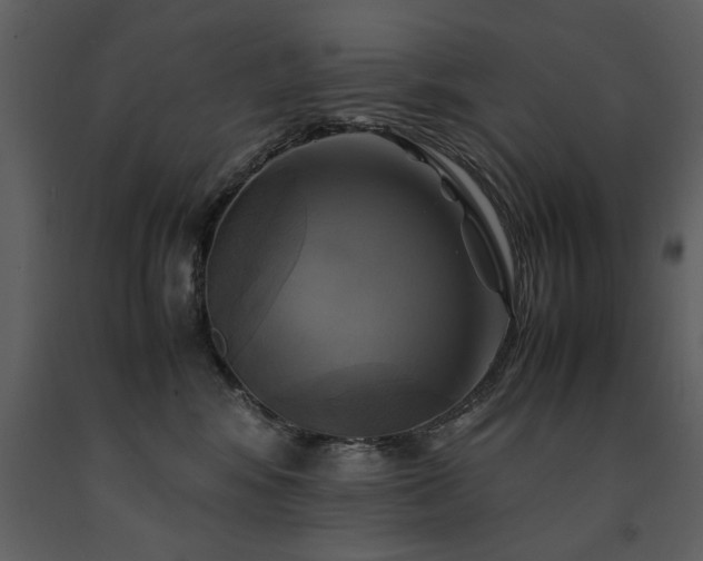 X0000091710424200708241252