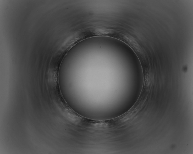 X0000091710426200708241251