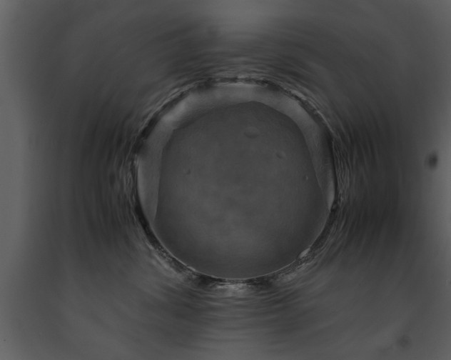 X0000091710428200708241251