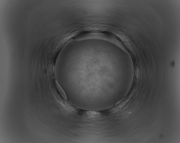 X0000091710429200708241251