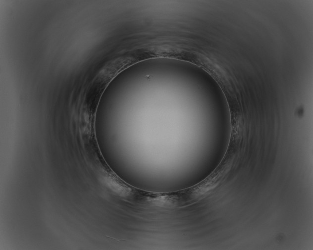 X0000091710430200708241251