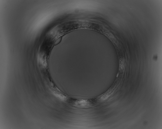 X0000091710431200708241251