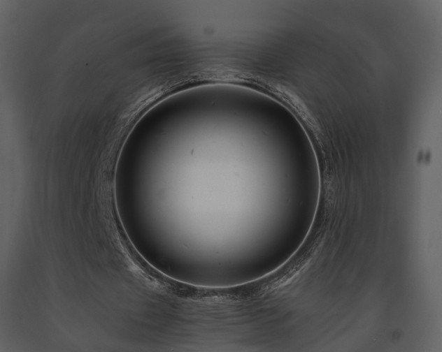 X0000091710433200708241250