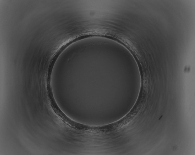 X0000091710434200708241250