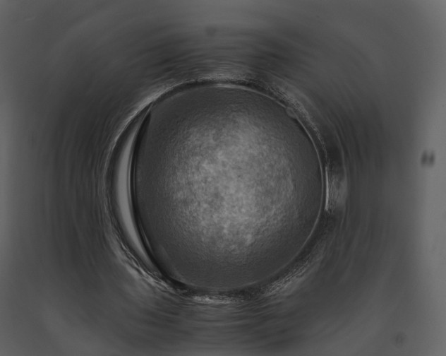 X0000091710435200708241251