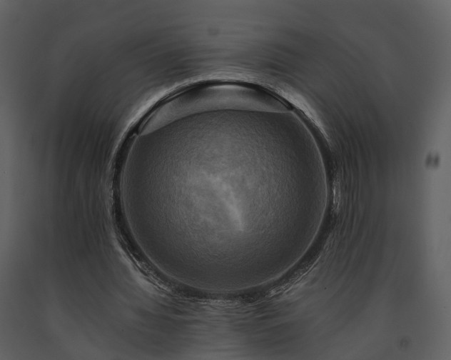 X0000091710436200708241251