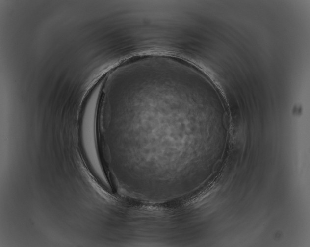 X0000091710437200708241251