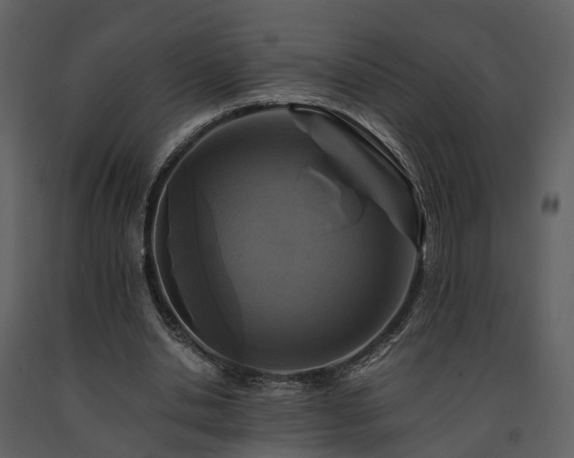 X0000091710438200708241251