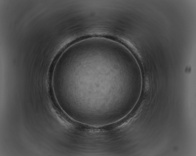 X0000091710439200708241251