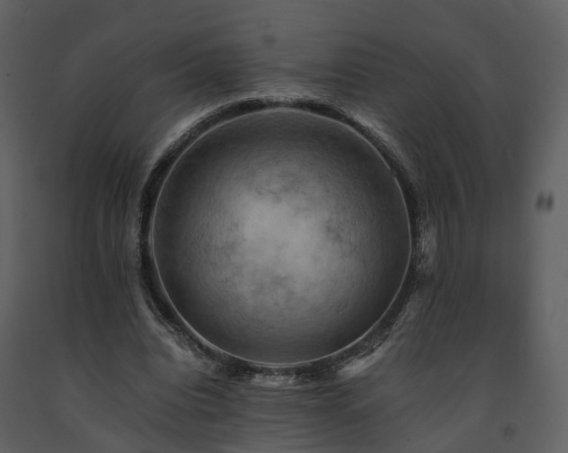 X0000091710440200708241251