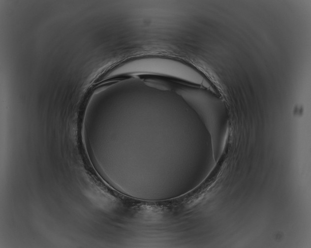 X0000091710442200708241251