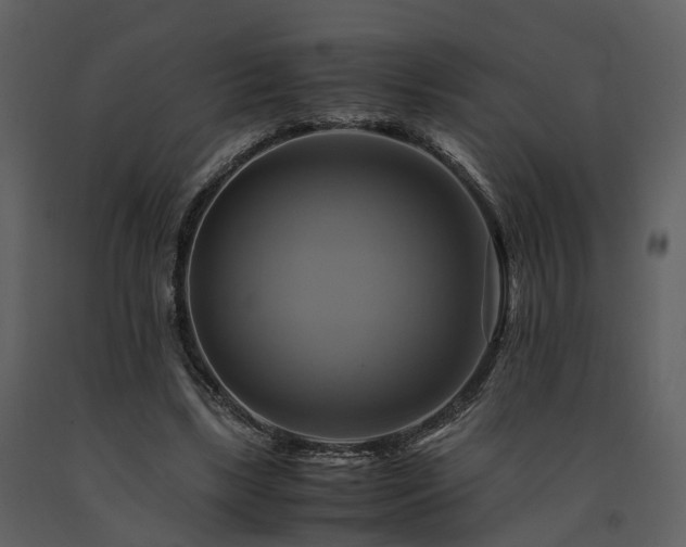 X0000091710443200708241251