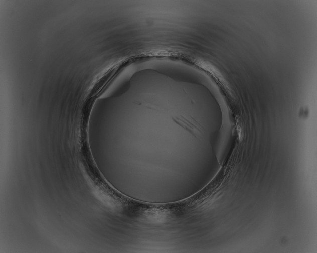 X0000091710444200708241251