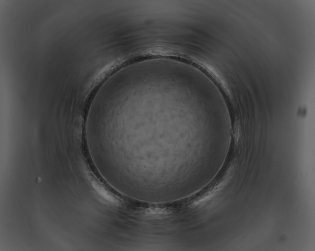 X0000091710445200708241251