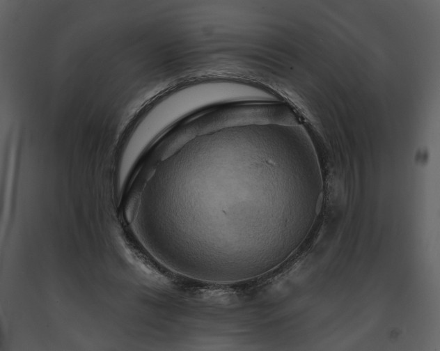 X0000091710446200708241251