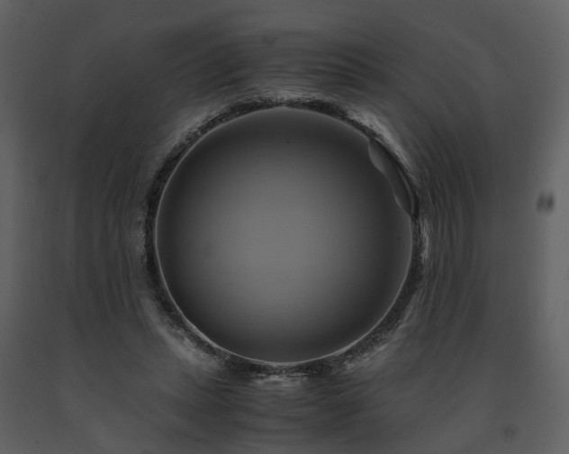 X0000091710447200708241251