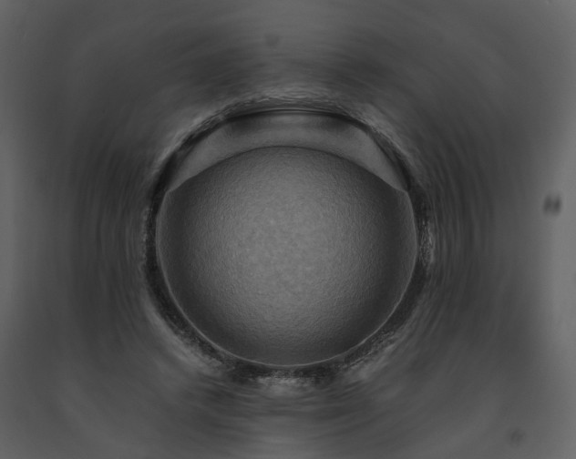 X0000091710448200708241251