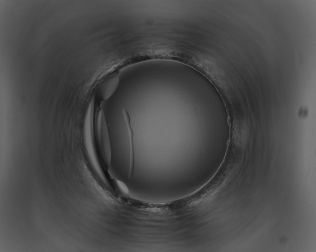 X0000091710449200708241251