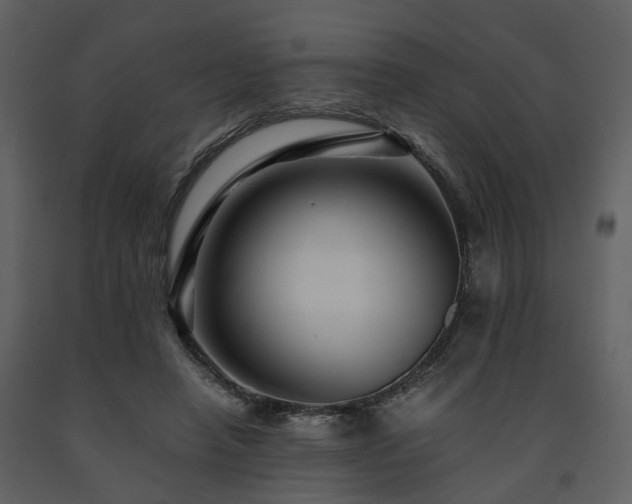 X0000091710450200708241251