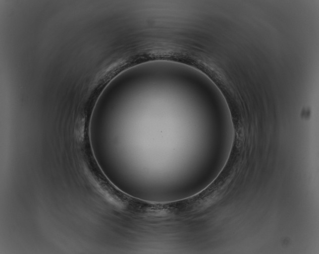 X0000091710454200708241251