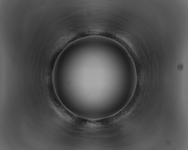 X0000091710455200708241251