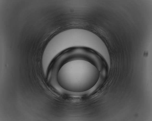 X0000091710456200708241251