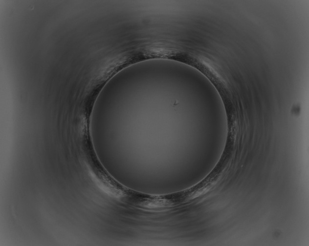 X0000091710459200708241251