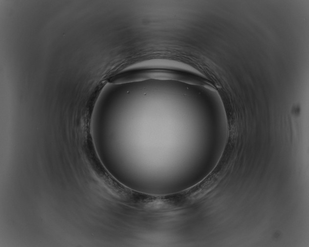 X0000091710460200708241251