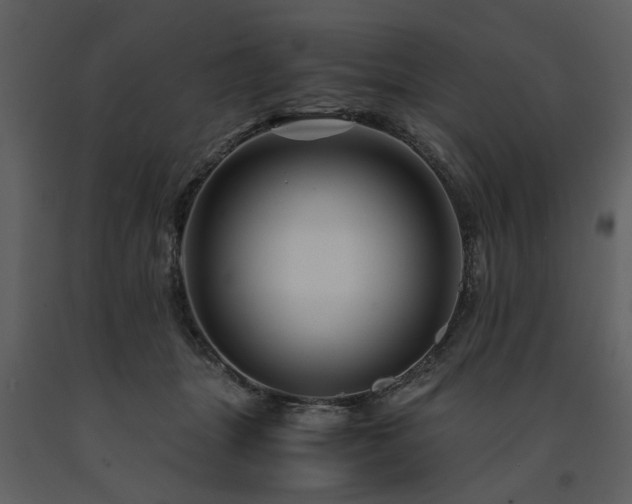 X0000091710463200708241251