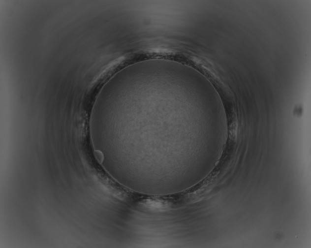 X0000091710464200708241251