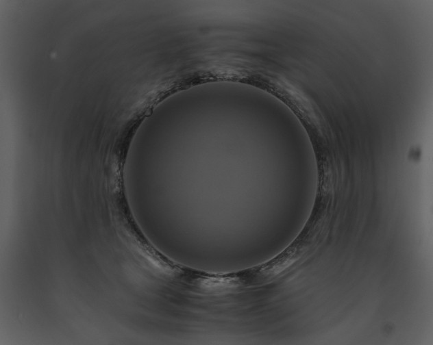 X0000091710465200708241251