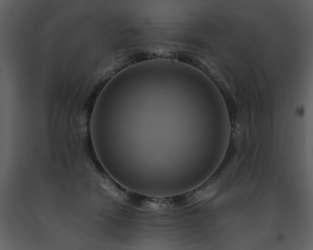 X0000091710466200708241251