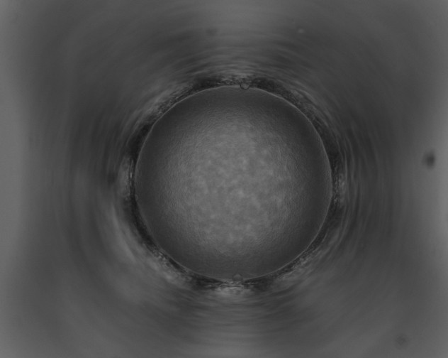 X0000091710468200708241251