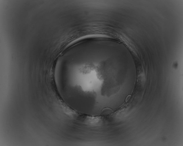 X0000091710469200708241251