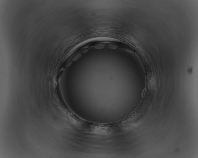 X0000091710471200708241251