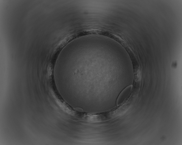 X0000091710472200708241251