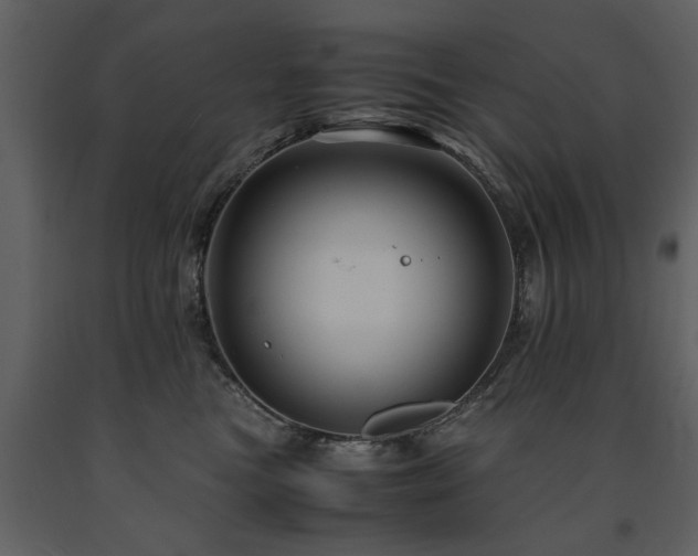 X0000091710473200708241251