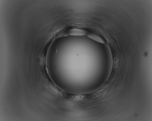 X0000091710474200708241251