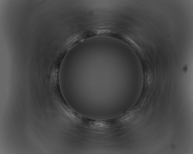 X0000091710475200708241251