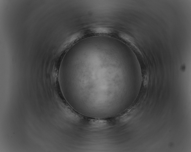 X0000091710476200708241251