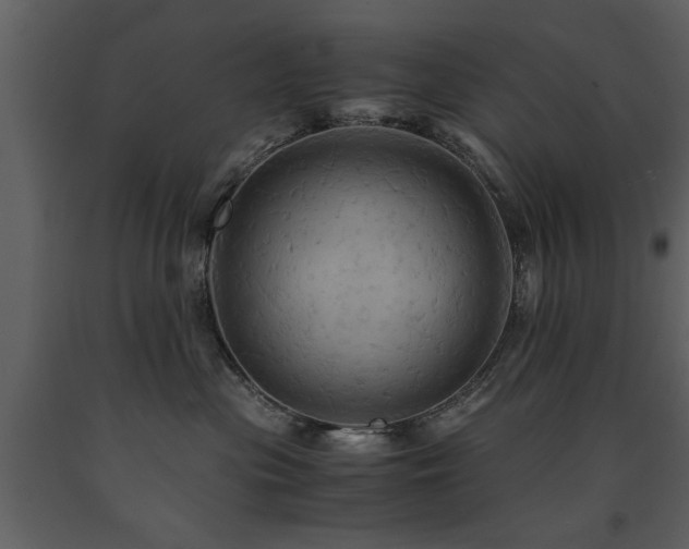 X0000091710477200708241251