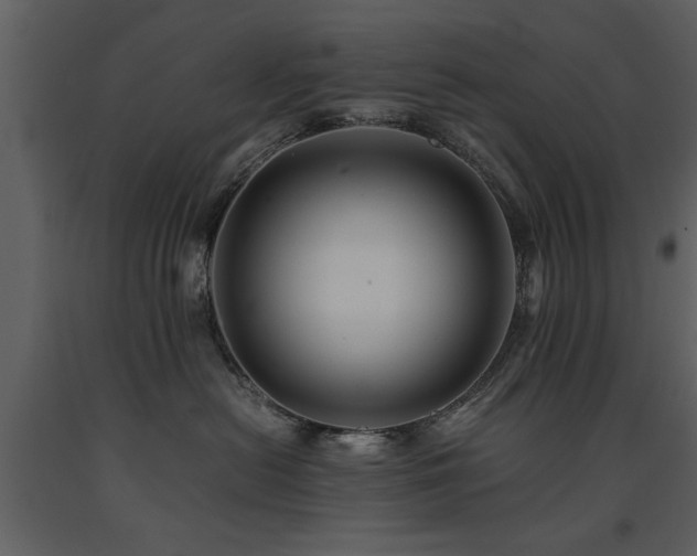 X0000091710478200708241251