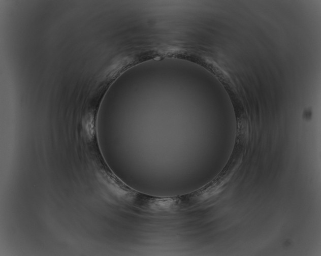 X0000091710479200708241251